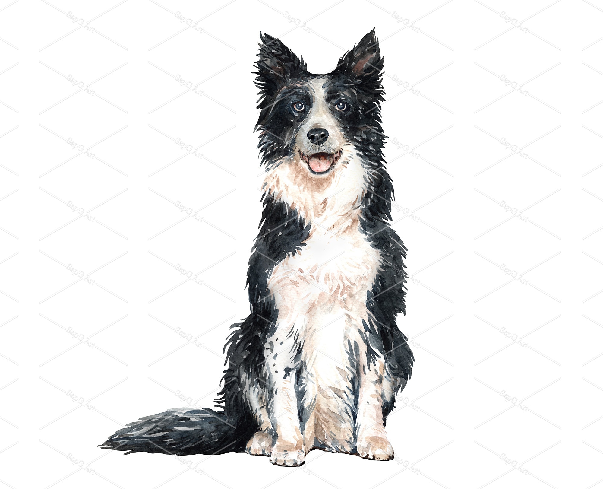 Border Collie Wearing Christmas Clothes Sitting Next To Presents