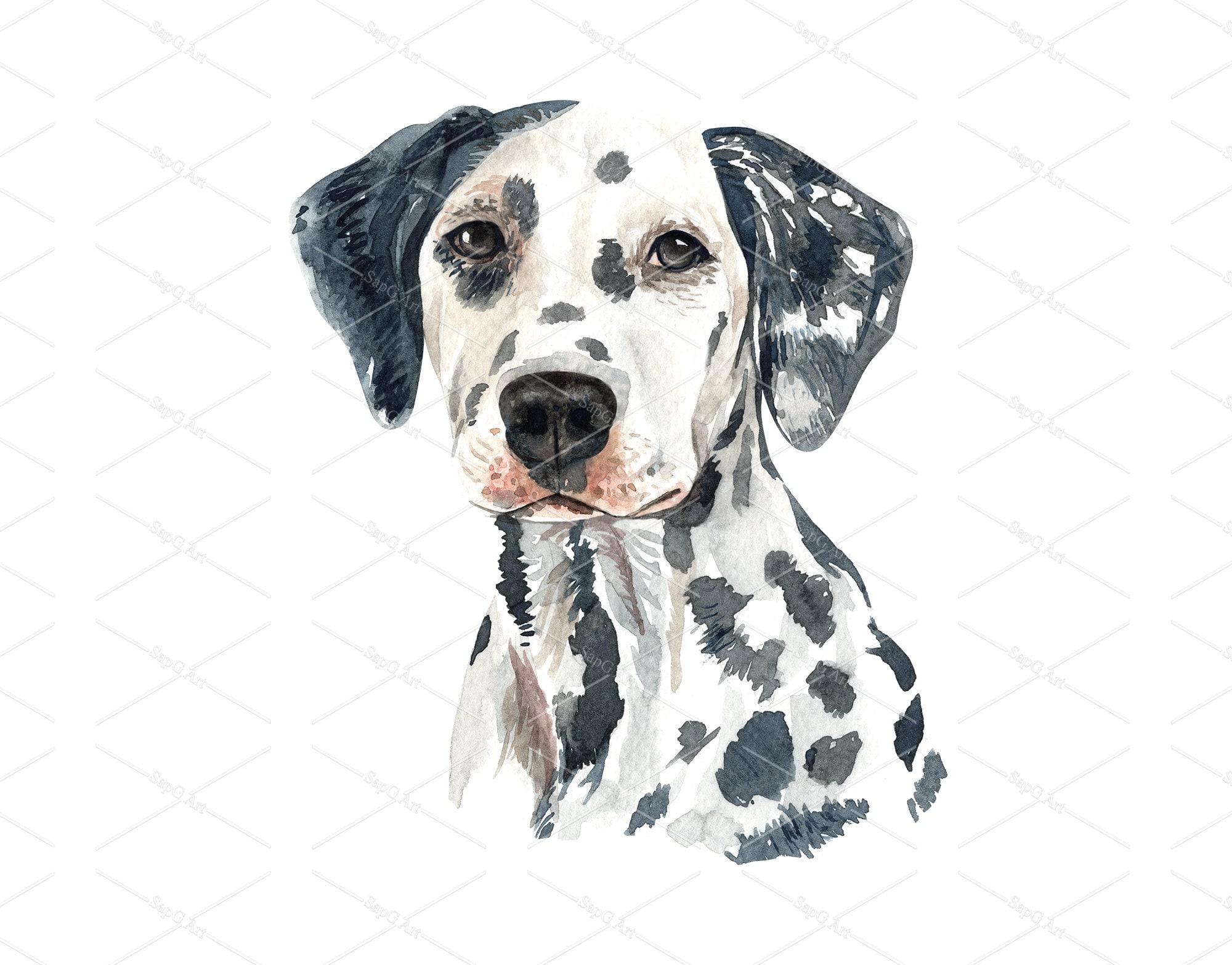 Watercolor Dalmatian Dog Drawing. Dalmatian Head Layer Path, Clipping