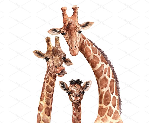 Download Watercolor Giraffe Family Giraffe And Baby Drawing For Baby Etsy