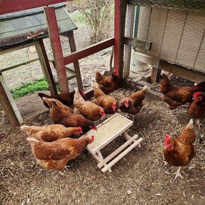 Chicken picnic table feeder