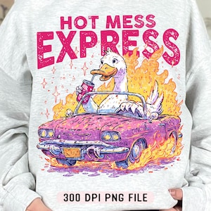 Hot Mess Express png, sublimatie grappige gans in vlammende auto, sarcastische retrohumor png, trendy sneaker shirt ijskoffie png
