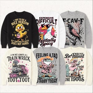 May include: Collection of sweatshirts with humorous graphic designs. Includes a black sweatshirt with a duck and the text "I try to be a nice person but sometimes my mouth does not agree." Other designs feature a train, a frog, and a crow.