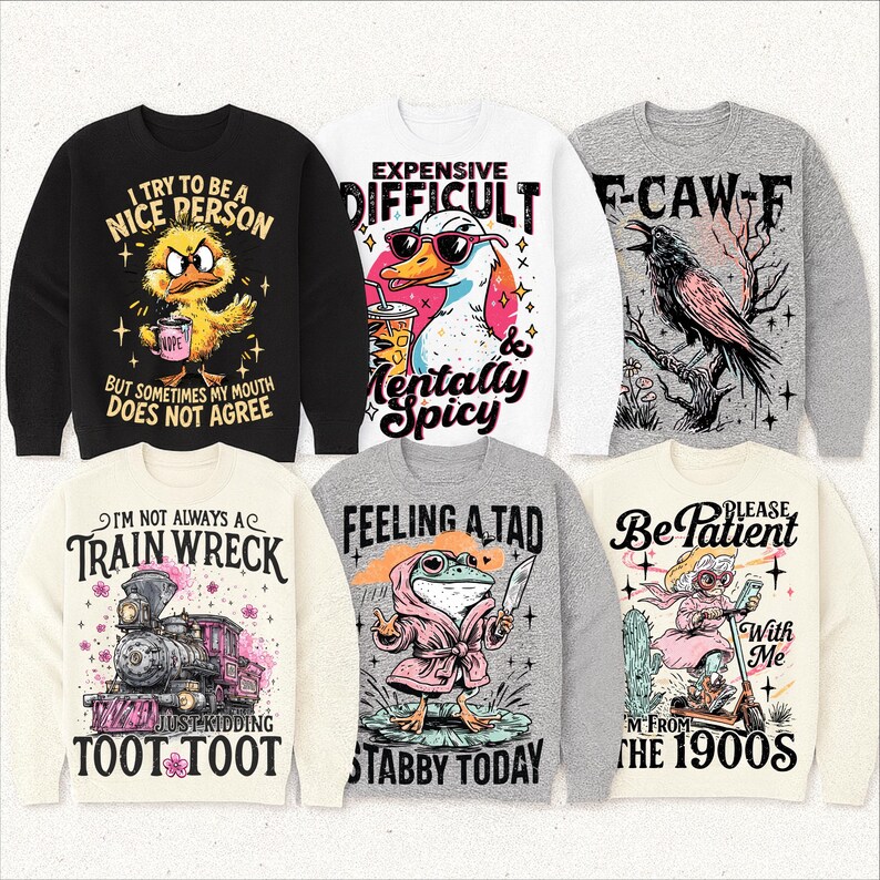 May include: Collection of sweatshirts with humorous graphic designs. Includes a black sweatshirt with a duck and the text "I try to be a nice person but sometimes my mouth does not agree." Other designs feature a train, a frog, and a crow.