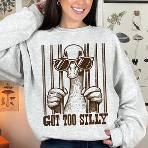 Pu&ograve; includere: Una felpa grigia con una grafica di un'anatra con occhiali da sole e il testo "Got Too Silly".