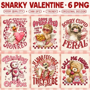 May include: A collection of six Valentine's Day-themed PNG designs with humorous illustrations. The designs feature a duck, cupid, raccoon, voodoo doll, skeleton, and teddy bear, each with a unique, sarcastic message. The text includes phrases like "My Heart Honked" and "Love is Overrated."