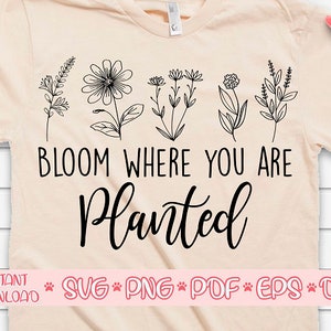 Bloom donde se planta svg,Crazy plant lady svg,Plant lover svg,Garden svg,Garden svg,Gardening svg,Wild flowers svg,Houseplant svg