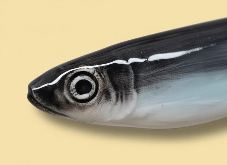 Set med 5 handgjorda keramiska väggdekorationer med sardiner, portugisisk kustfisk, unik inflyttningspresent och estetisk heminredning med fiskare bild 5