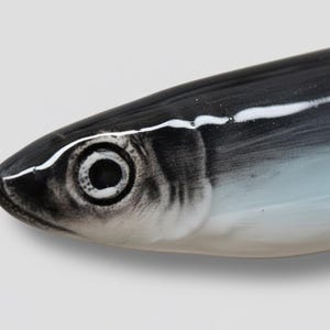 Pu&ograve; includere: Primo piano di una testa di pesce in ceramica. Il pesce &egrave; dipinto in tonalit&agrave; di nero, bianco e blu. L'occhio &egrave; un cerchio scuro con un contorno bianco. Il corpo del pesce &egrave; liscio e curvo, con una striscia bianca sulla parte superiore.