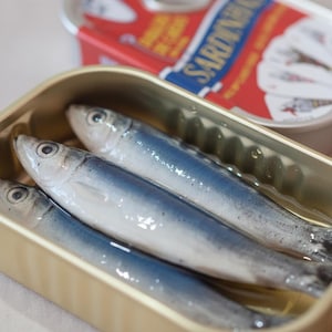 Retro Tinned Fish Poker Deck of Cards, Unique Sardine Tin Can Playing Cards, Portuguese Souvenir, Sardine Lover Gift Deck + 3 C. Sardines