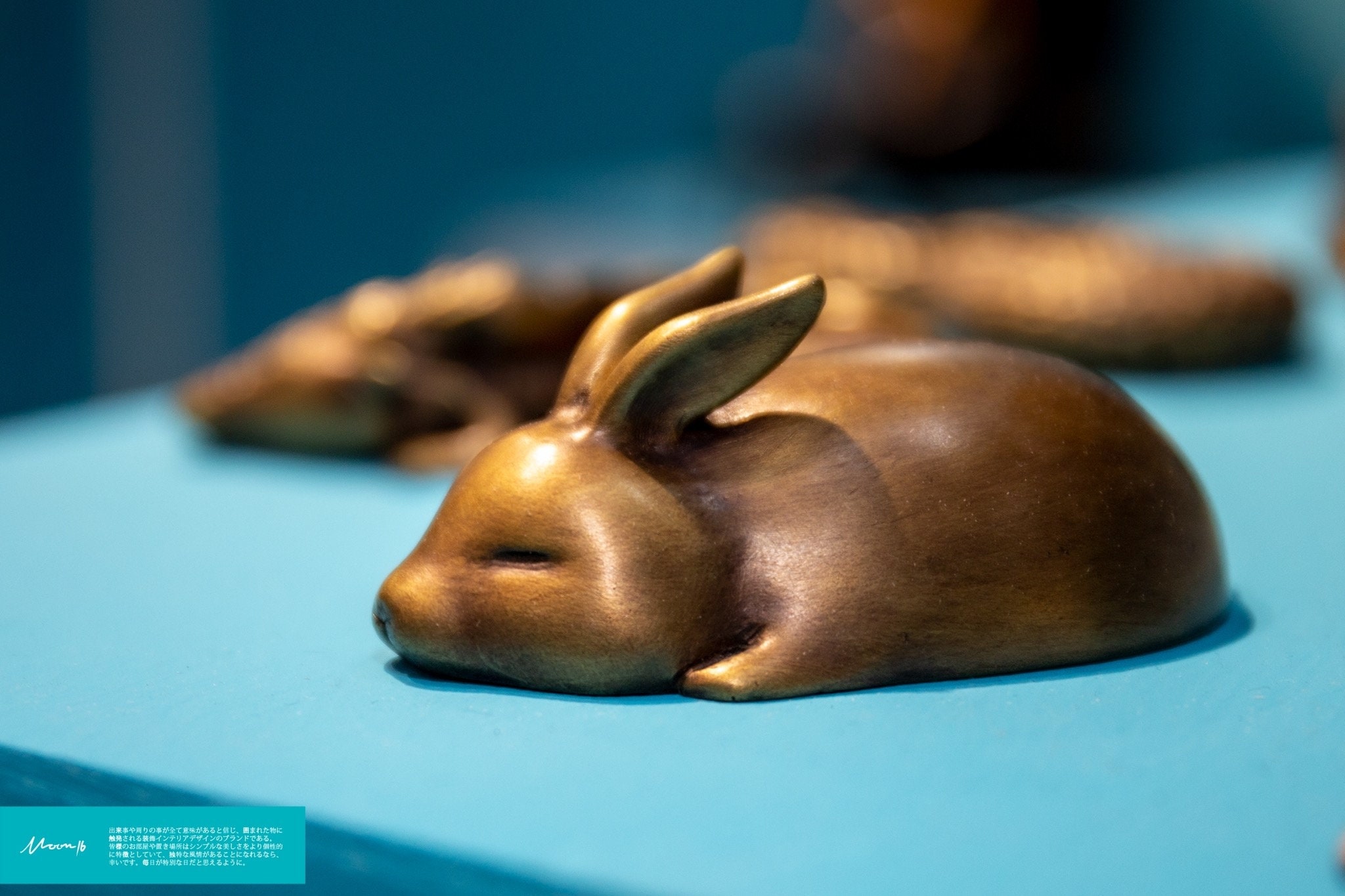 Sleeping Bunny : Neru Neru Collection - Etsy