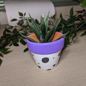 Puede incluir: Una pequeña planta suculenta en maceta con hojas verdes en una maceta blanca con lunares negros y un borde morado.