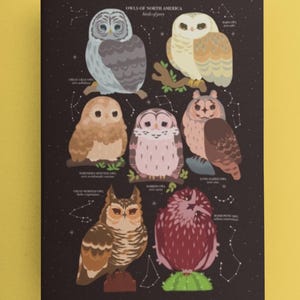 Owl Taxonomy Dotted Notebook / Spiral notebook / cute notebook / gifts for her / college notebook / notetaking