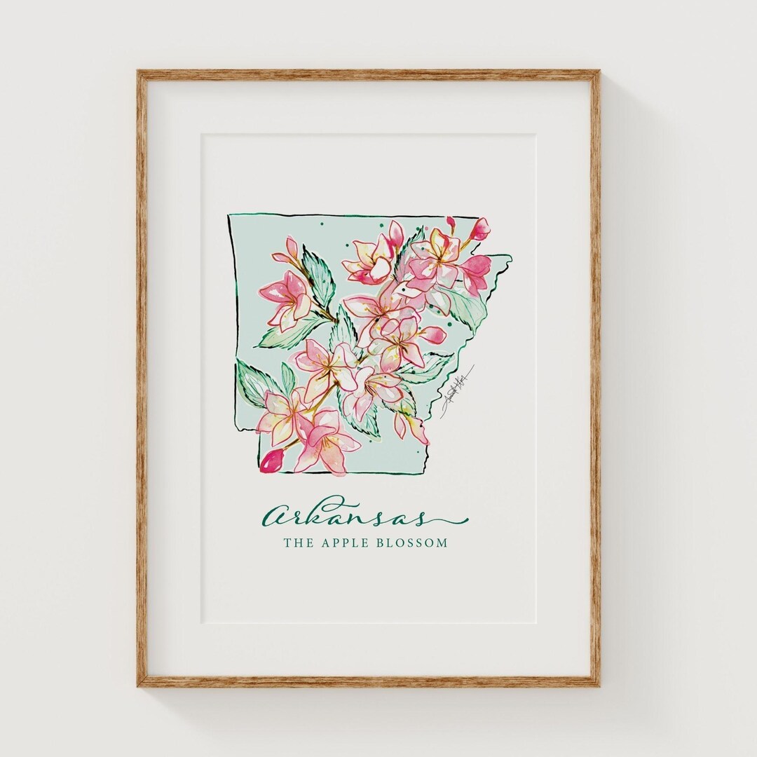 ARKANSAS Apple Blossom State Flower Fine Art Print | Botanical Map ...