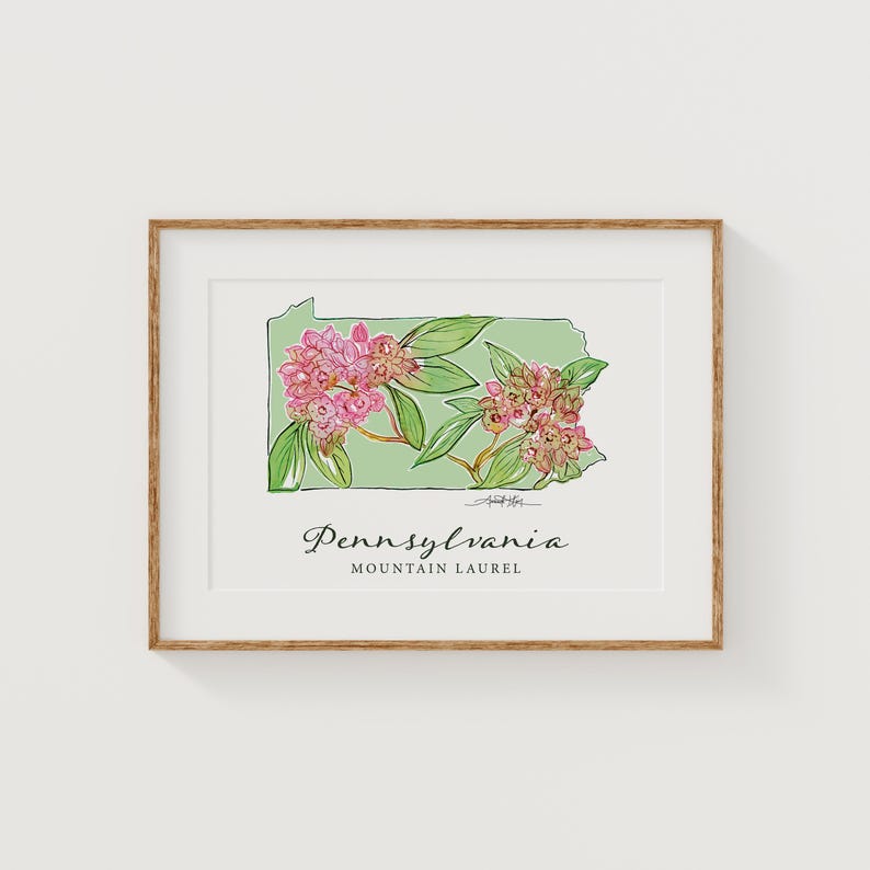 Pennsylvania Mountain Laurel Watercolor Print - State Flower Art