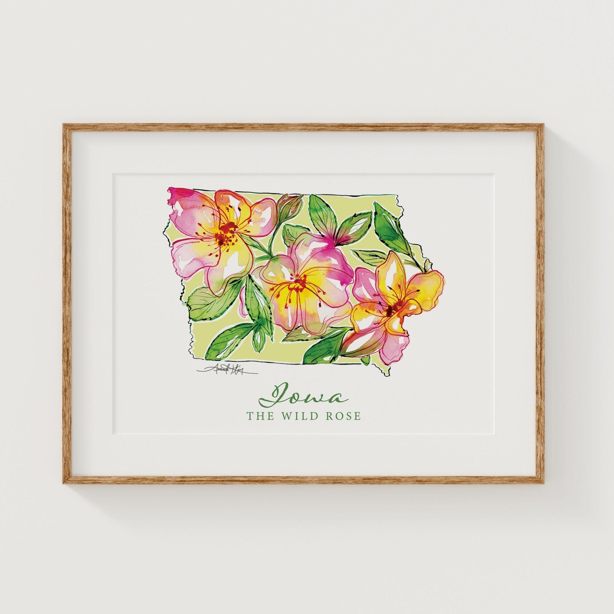 IOWA Wild Rose State Flower Fine Art Print | Botanical Map | State ...