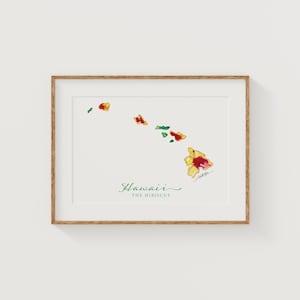 HAWA Hibiscus State Flower Art Print Fine Art Floral map Poster Art mural Cadeau de Noël militaire unique de pendaison de crémaillère