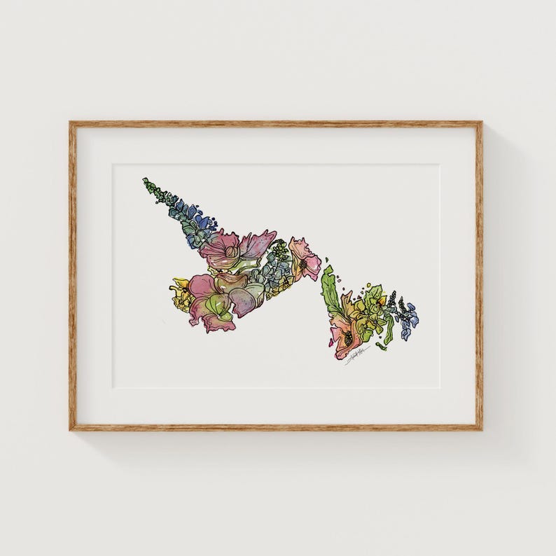NEWFOUNDLAND AND LABRADOR Wildflowers Canada Art Print Fine Art Floral ...