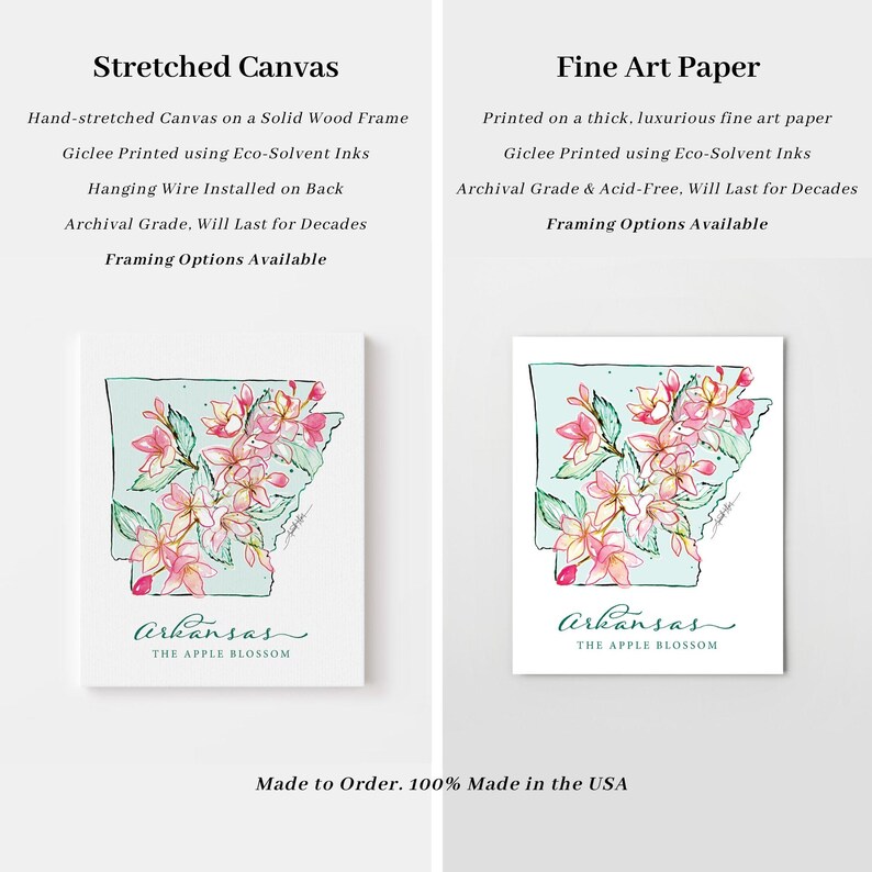ARKANSAS Apple Blossom State Flower Fine Art Print | Botanical Map ...