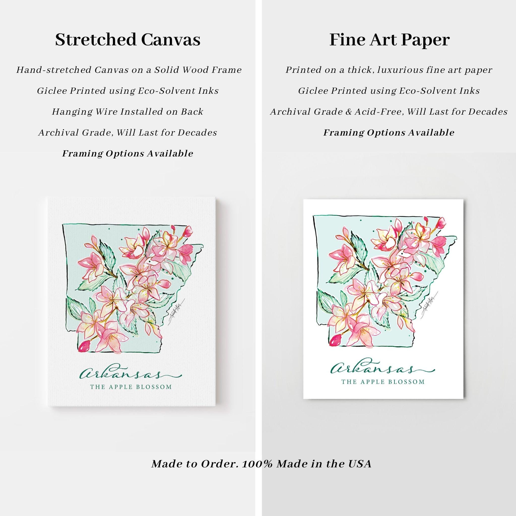 ARKANSAS Apple Blossom State Flower Fine Art Print | Botanical Map ...