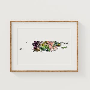 PUERTO RICO Flores Silvestres Lámina de Bellas Artes / Mapa Botánico / Territorios de EE. UU. Decoración Floral para el Hogar / Lienzo o Impresión Giclée para Pared Arte Enmarcado