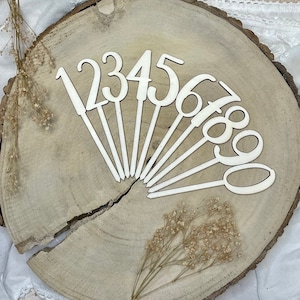 Cake Topper Zahl | Tortentopper | Tortenstecker | Deko | Geburtstag | Kuchenstecker | Tortenfigur | personalisiert | Set | Holz