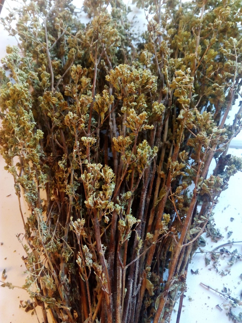 Greek Dried Mountain Oregano Bunch 100g Etsy