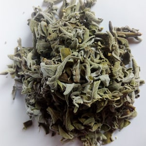 Sage Herbal Tea main cueillie 50g