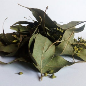 Greek dried bay laurel leaves 150g hand picked
