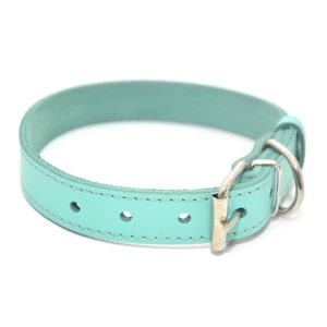 Collare per cani pelle primavera turchese, collare per cani in pelle, collari personalizzati per cani
