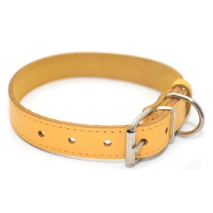 Könnte beinhalten: Ein gelbes Lederhundekragen mit einer silbernen Schnalle und einem D-Ring.