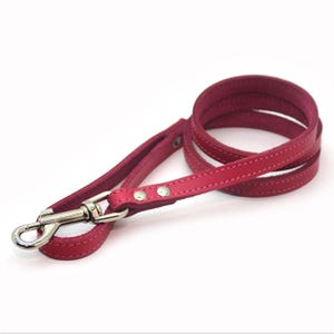Dog Leash Pink Spring,Dog Leash, Leather Dog Leash Lead, Leather Leash