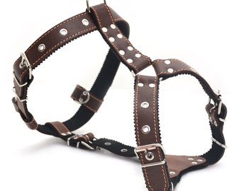 Dog harness leather, Dog Harness, Tribal Harnesses for Dogs, Dog Harness and Leash Set, leather Dog Harness, Adjustable Harness