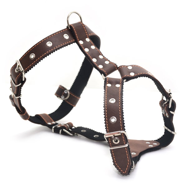 Leather Dog Harness - Etsy