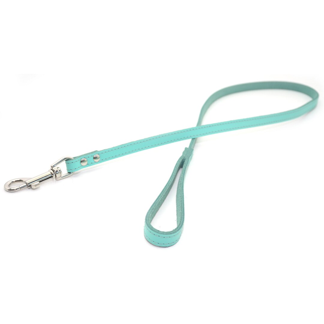 Dog Leash Turquoise Springdog Leash Leather Dog Leash Lead Etsy