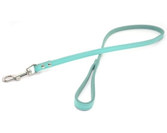 Dog Leash Turquoise Spring,Dog Leash, Leather Dog Leash Lead, Leather Leash