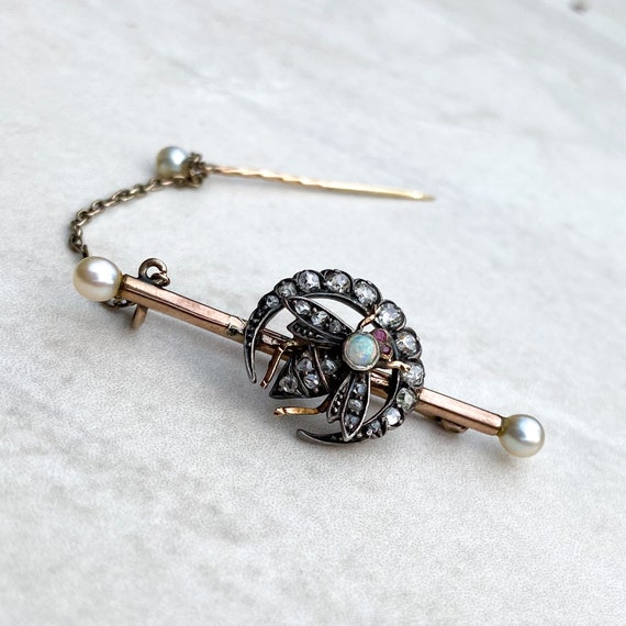 Crescent Moon and Insect Bar Brooch