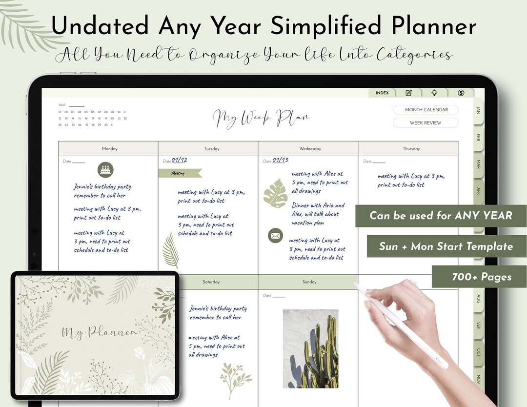 Undated Any Year Digital Planner, Goodnotes, Undated Daily Planner