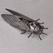 Antique French Art Nouveau Silver Cicada Brooch Signed Guiraud