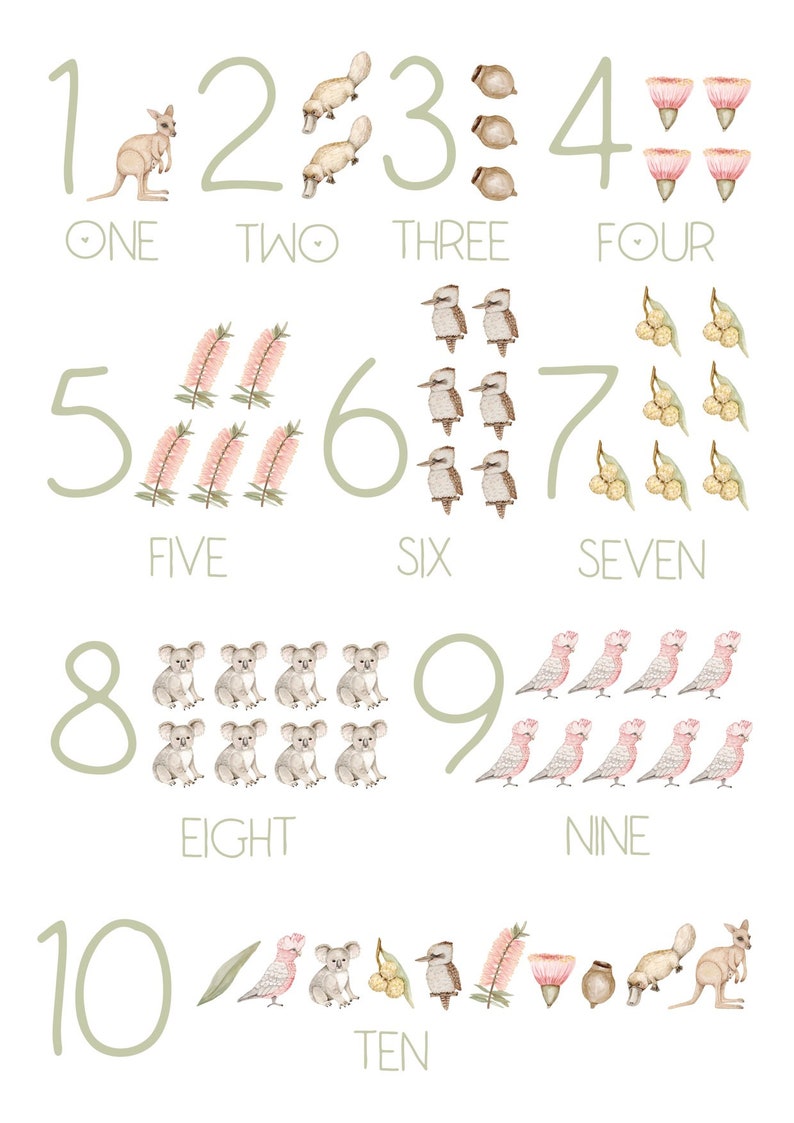 May include: A colorful educational chart featuring Australian animals and numbers 1 through 10. Each number is illustrated with a different animal, such as a kangaroo, platypus, kookaburra, and koala. The chart also includes the written words for each number.