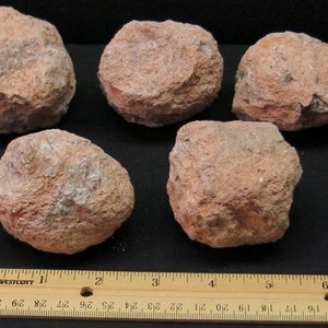 Group of Five 2 Inch Diameter Guaranteed Hollow Sonora Crystal Geodes from Mexico