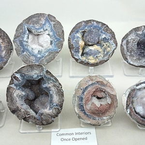 May include: Eight open geodes with varying colors of blue, gray, and white, displayed on clear stands. The geodes have a rough, textured exterior and a crystalline interior. A sign at the bottom reads "Common Interiors Once Opened."