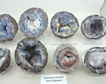 Utah Dugway Quartz Agate Geode Thundereggs, Guaranteed Hollow, Fluorescent, Mine Direct!