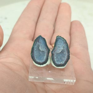 Op de afbeelding: Twee blauwe en groene geode oorbellen, gepresenteerd op een heldere, rechthoekige standaard. De oorbellen hebben een donkerblauw interieur met een witte en donkergroene rand. De oorbellen zijn ongeveer 2 cm lang.