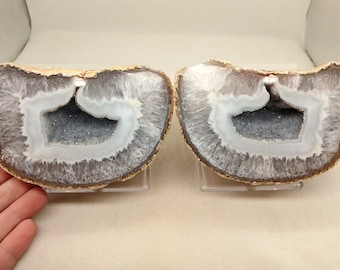 May include: Two halves of a geode, showcasing a natural stone formation. The outer edges are a light tan, transitioning to a gray and white interior with a crystalline center. The geode halves are displayed on clear stands.