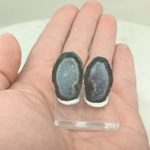 May include: Two small, oval-shaped geodes, each with a crystalline interior, are displayed on a clear, rectangular stand. The geodes have a dark green outer edge, a reddish-brown middle layer, and a white base. The stand is held in a person's hand.