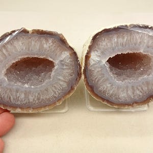 以下が含まれることがあります： 2つのジオードの半分で、自然な結晶の形成を示しています。 外側の縁は温かみのある茶色で、中央の空洞に輝く結晶が詰まった白とラベンダー色の内側に移行します。 ジオードの半分は透明なスタンドに展示されています。