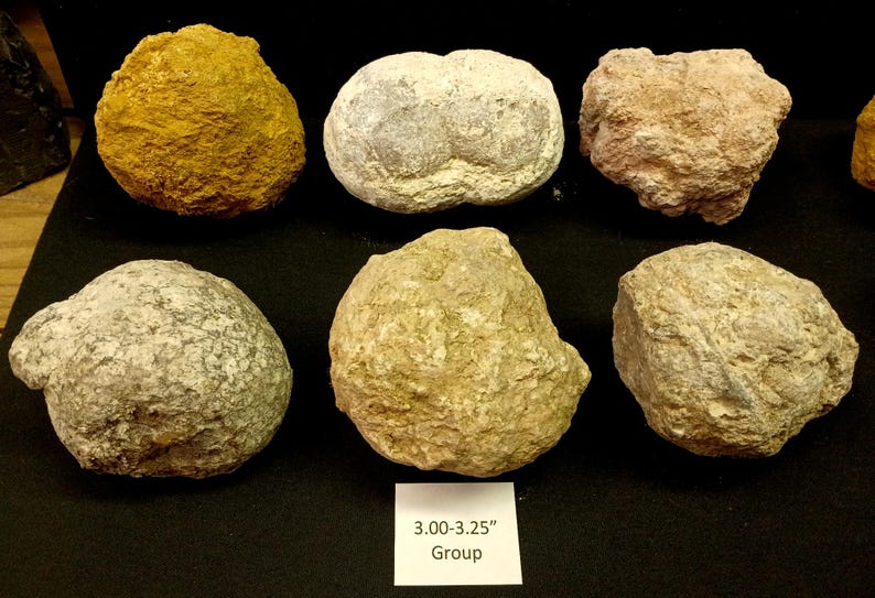 Deluxe Geode Variety Pack, Guaranteed Hollow, 2-4