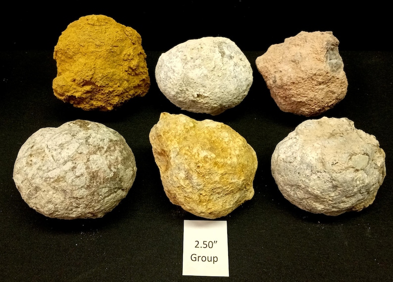 Deluxe Geode Variety Pack, Guaranteed Hollow, 2-4