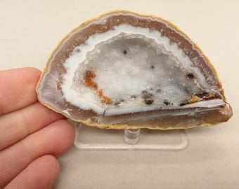 May include: A polished, semi-circular geode slice, showcasing a crystalline interior. The geode features a white, quartz-filled center, bordered by bands of brown, white, and tan. The specimen is displayed on a clear stand, highlighting its natural beauty.