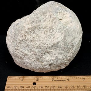 May include: A large, irregularly shaped rock with a rough, textured surface. The rock is primarily light gray with darker gray patches. A wooden ruler with inch markings is at the bottom of the image.
